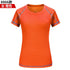 Mens Mesh Short Sleeve Lightweight T-Shirts,Bulk Crew Tees for Guys, Mixed Bright Colors Bulk Pack,Moisture Wicking,10 colors ShedPoundsPortal