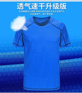 Mens Mesh Short Sleeve Lightweight T-Shirts,Bulk Crew Tees for Guys, Mixed Bright Colors Bulk Pack,Moisture Wicking,10 colors ShedPoundsPortal