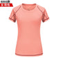 Mens Mesh Short Sleeve Lightweight T-Shirts,Bulk Crew Tees for Guys, Mixed Bright Colors Bulk Pack,Moisture Wicking,10 colors ShedPoundsPortal