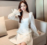 Female Dresses  Coquette Women&