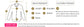 plus size 8XL100%cotton sanding long-sleeve shirts for men slim fit casual plain shirt soft palid tops designer elegant clothes